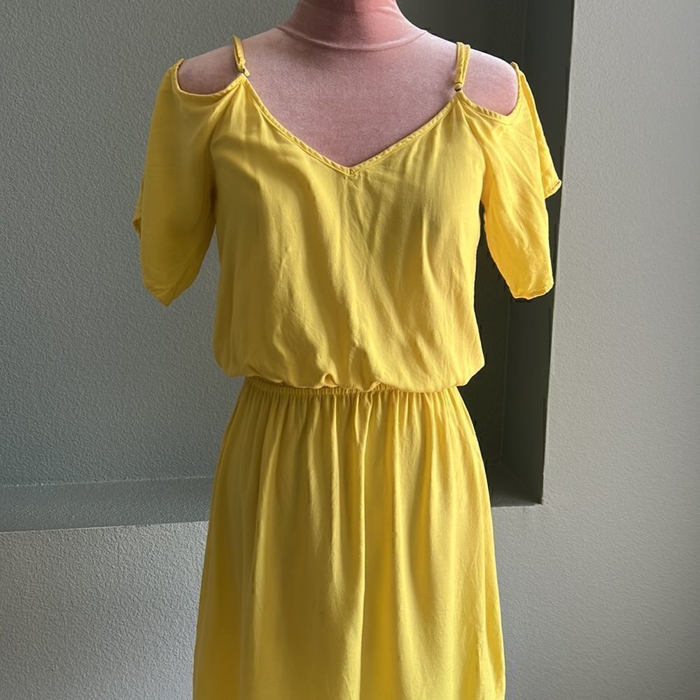 Splendid Dress - Picture 5 of 6